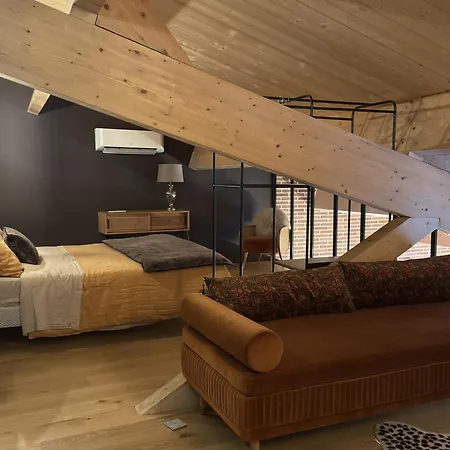 Loft Atelier De Caractere Apartment *